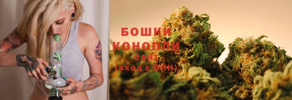 мет Осинники